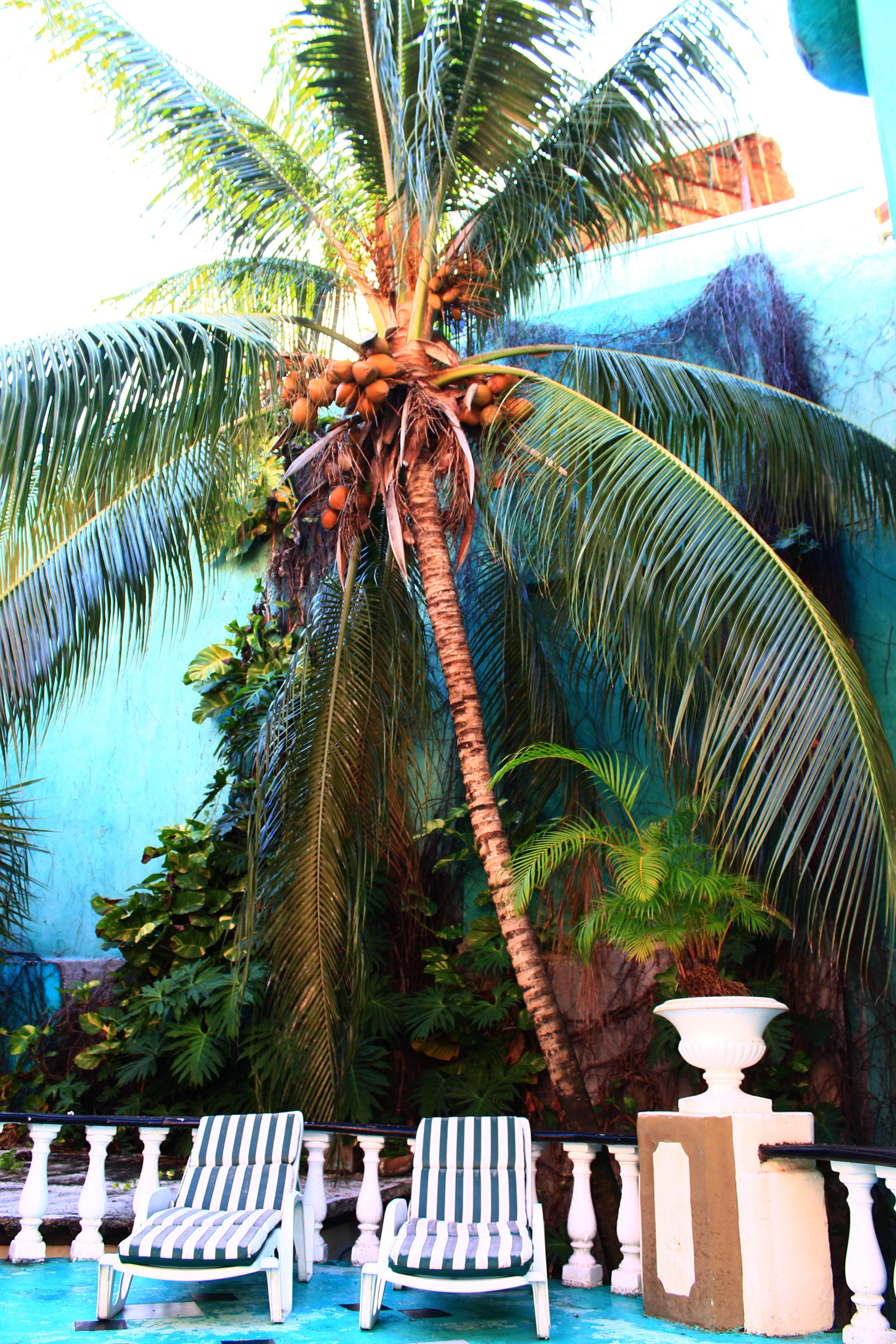 Maya del Mar on Fifth Avenue Playa del Carmen Exteriör bild